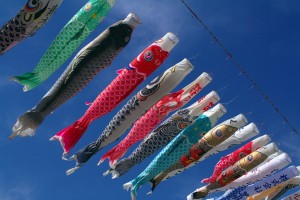 Carp_streamer