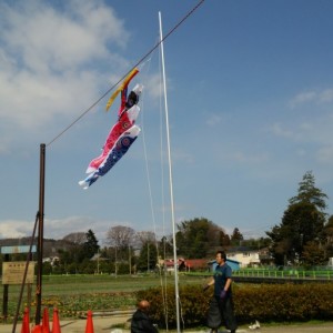 cropped-DSC_0496.jpg