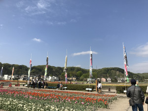 52D25387-CF93-4BEA-90B0-20AC8E8078EB